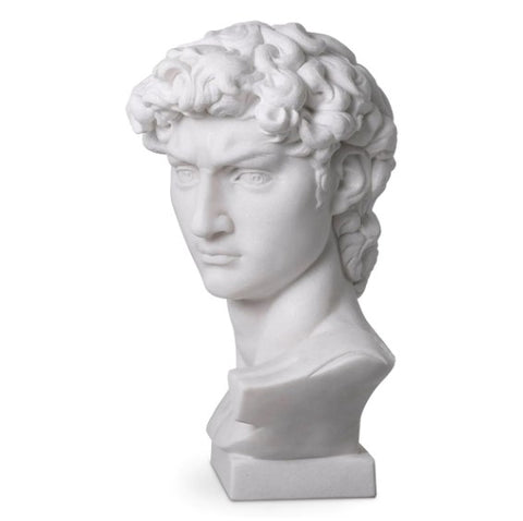 Cabeza David
