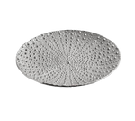 Ocean Sea Urchin Platter