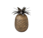 Box Pineapple