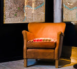 Professor Chair