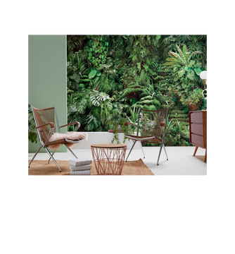 Urban Jungle at Daylight