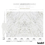 Beige Gray Arabescato Marble