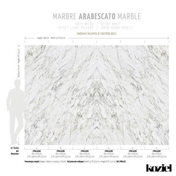 Beige Gray Arabescato Marble