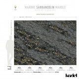 Black & Gold Sarrancolin Marble