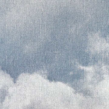 Sky I Panoramic Wall Mural