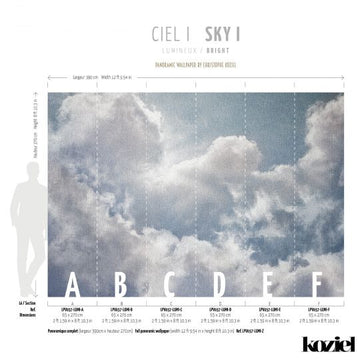 Sky I Panoramic Wall Mural