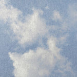Sky II Panoramic Wall Mural