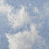 Sky II Panoramic Wall Mural
