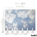 Sky II Panoramic Wall Mural