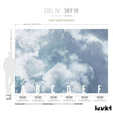 Sky IV Panoramic Wall Mural
