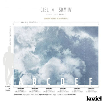 Sky IV Panoramic Wall Mural