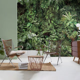 Urban Jungle at Daylight
