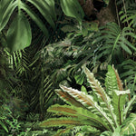 Urban Jungle at Daylight