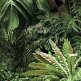Urban Jungle at Daylight